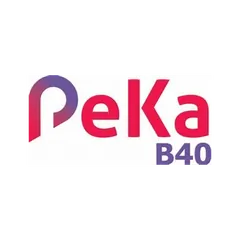 PeKa B40